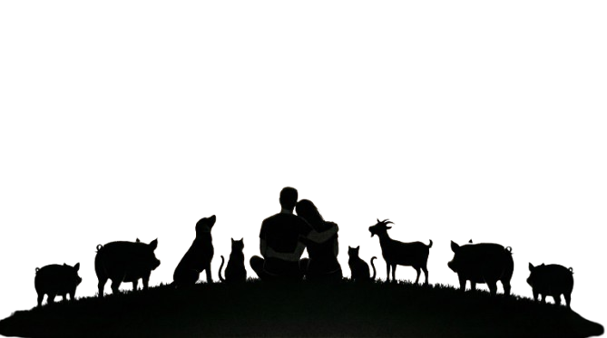 Le sanctuaire sous les étoiles